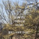 서울대관악수목원/봄맞이한시개방 이미지