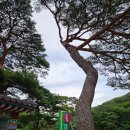 양산시종합관광안내소 이미지