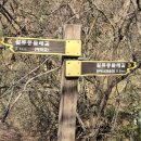 허대구 대구통닭 진천점 | 11. 15. 월류봉 둘레길, 원조동해식당, 허대구대구통닭 진천점