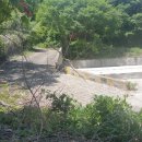 성호부동산공인중개사사무소 이미지