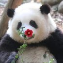 화화