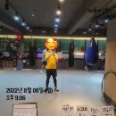 프로팀스타 복싱 이미지