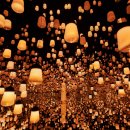 랩바이오 이미지