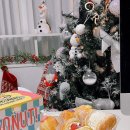 모모스위츠 이미지