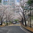 부동산경매 | 대구경북경매학원 칠곡 1억대 아파트 입찰전 임장 후기입니더~
