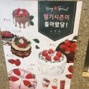 록시드갸토 미사점 | 하남 미사 핫플레이스 카페 소진담 후기^^