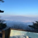 코오롱애견 이미지