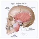 합정고려의원 | 합정 보톡스 잘하는 병원 고르는 방법