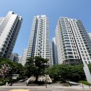 대한민국은 왜 아파트인가 이미지