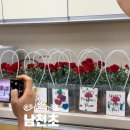 행복을심는꽃집 | 남천초등학교] 찾아가는 체험학습 / 원예수업, 직접 빚은 화분에 카네이션을 심는 도예 융합 체험학습 후기