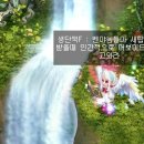 힐신은고양이