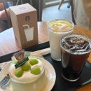 샤인키즈 | [스타벅스 기장임랑원점 피치요거트 블렌디드, 샤인머스캣 생크림 케이크 키즈리유저블컵 이벤트 후기✨]