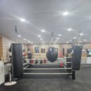 슈가복싱 프리미엄 이미지