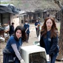 김창현농장 이미지