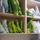 느티나무 한약국 이미지