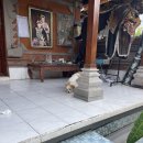 아루마 | [발리 우붓] 가성비 숙소 추천 arumasta ubud 아루마스타 후기