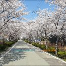 거제여자상업고등학교 이미지