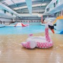 장유스파랜드 헬스장 이미지