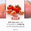 7월 22일(월) 여름의 마지막 절기 大暑 이미지