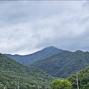 백화산호국의길 이미지