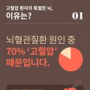 베니스짐 이미지