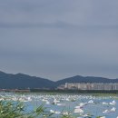 2024.05.25 부산국회도서관 인근 오염토 실태조사 이미지