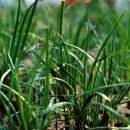 강동농협 로컬푸드 직매장 이미지