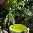 호연가 | 하동 여행 - &#39;호연가&#39; / 하동 촌캉스/ 하동 셀프스냅숙소