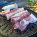 화돌 이미지