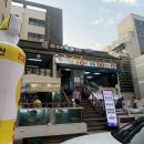 21세기우리바다수산 | 가성비 회 맛집 21세기우리바다수산 사장님 픽 회로...전갱이에 도다리 참돔까지 수족관 씨 말린 후기