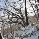 추성산장 이미지