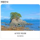 고향민박 | 6시내고향 통영 우도 펜션 민박집 숙박 식사 체험 낚시 JJ펜션민박