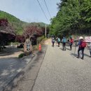 지에스25 춘천추곡점 이미지