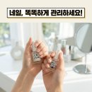 손톱 강화제 추천｜약한 손톱 살리는 8주 복구 루틴과 성분 분석