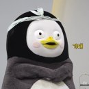더 한올 이미지