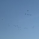 솔옥 네이버블로그