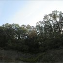 01-116 동구 이미지