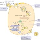 감염병 경보 / 졸업과 입학 이미지