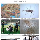 (주)강원심층수