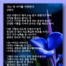 나는 내 나이를 사랑한다 - 신달자 이미지