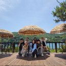 더스테이24 Daum카페