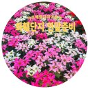 플라워천국 | 서울 근교 국내여행, 아르베플라워! 크리스마스 생화트리, 포인세티아 천국