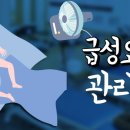 에이스이불마트 이미지