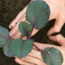 비전과학산업 이미지