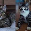 안씨목장 이미지