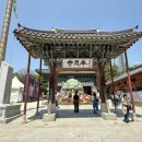 대한불교조계종봉은사서래원 | [서울 봉은사] 부처님 오신 날을 준비하는 연등이 예쁜 도심 속에서 만나는 사찰 봉은사 산책