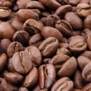 아라비카 커피원두와 로부스타 커피원두의 차이점에 대해서 알아봅시다. 이미지
