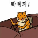 커피바리스타(야) 이미지