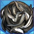 대동수산 이미지