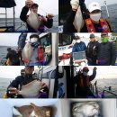 참가자미 티스토리